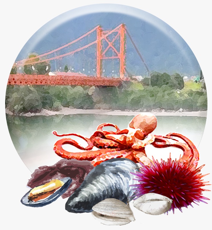 Recursos Bentónicos Aysén