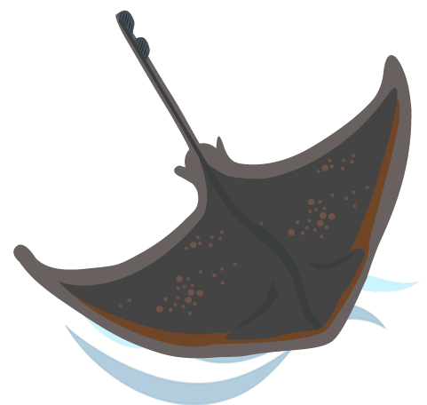 Raya Volantín y Raya Espinosa